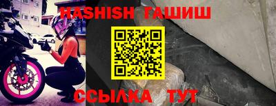сатива Аргун