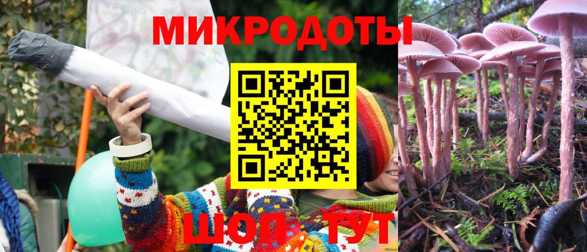 Богданович  Галлюциногенные грибы GOLDEN TEACHER  Вход с VPN 